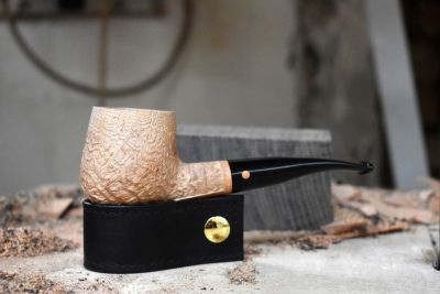 Arbutus Briar