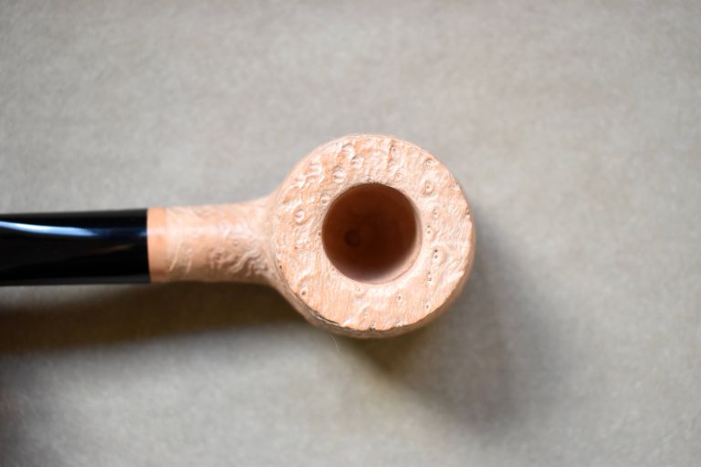 Arbutus Briar