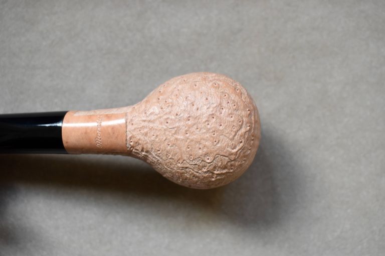 Arbutus Briar