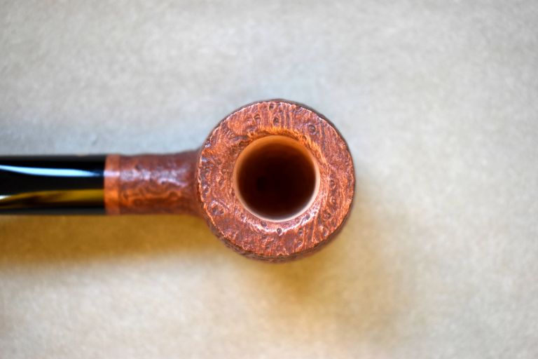 Arbutus Briar